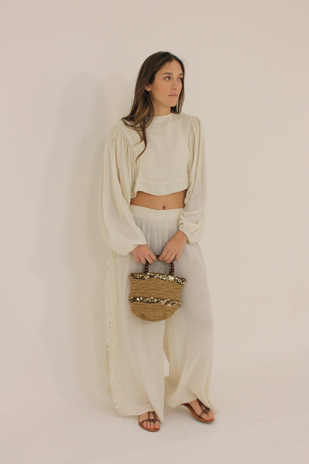 Sequin Beaded Bag in Brown