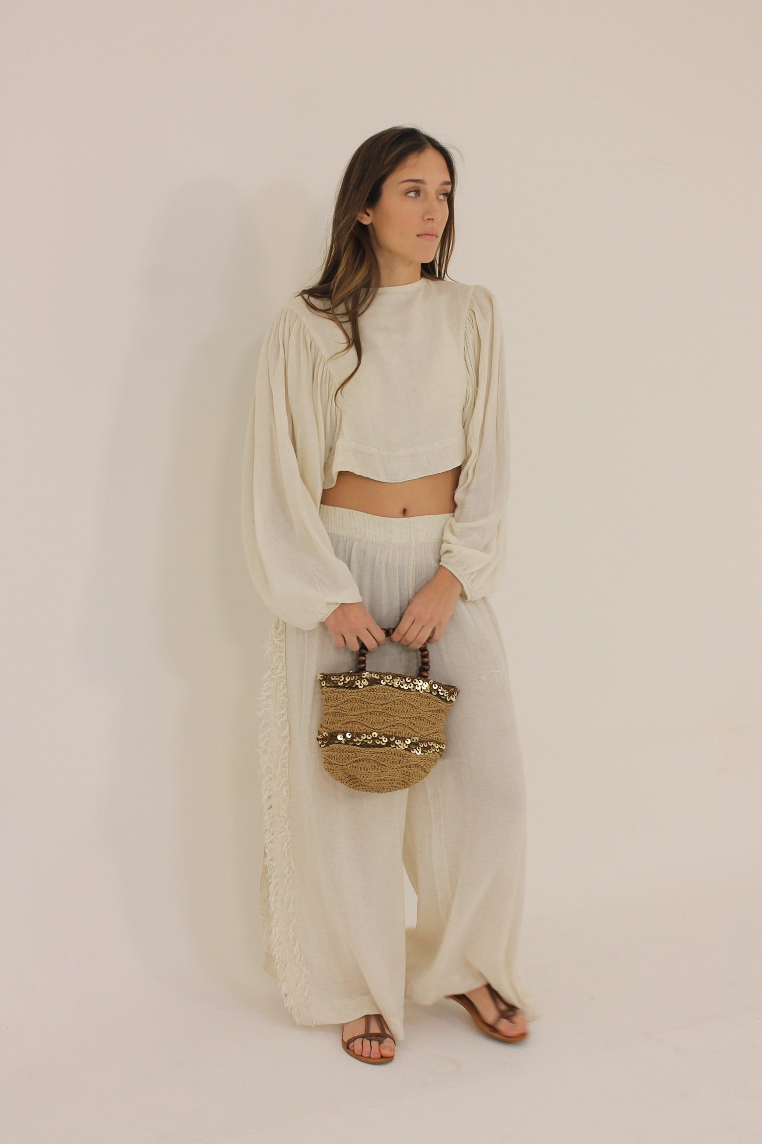 Sequin Beaded Bag in Brown